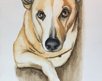 Aangepaste hand geschilderde aquarel van het huisdierportret