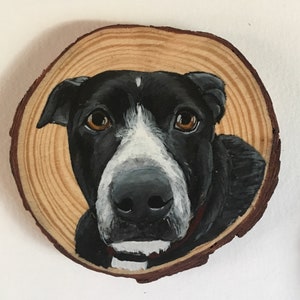 Custom hand painted pet portrait ornament