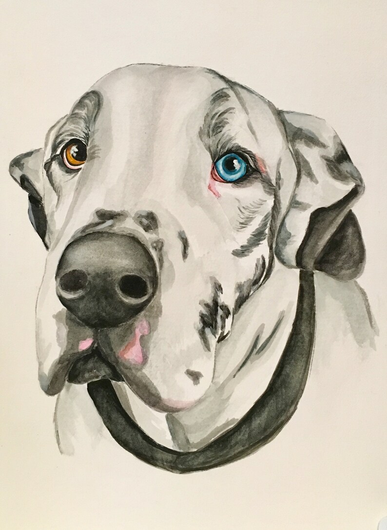 Custom watercolor pet portrait image 1