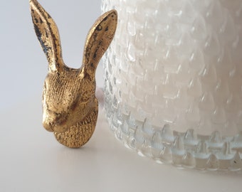 Australia Star Seller Metal Rabbit Gold Door Knob Furniture Drawer Bedside Cabinet Kitchen Nursery