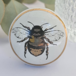 May include: White ceramic cabinet knob with a detailed illustration of a bee. The bee is black, brown, and gold, with delicate wing details. A thin gold band encircles the edge of the knob, adding a touch of elegance.