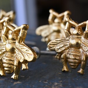 May include: Four gold bee-shaped drawer pulls with intricate details. The bee's wings, legs, and body are all sculpted with a realistic design.