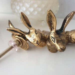 May include: Gold-toned rabbit-shaped cabinet knobs. The knobs feature an aged finish, with visible screw threads and a clear washer. The rabbit heads are positioned at different angles, offering a playful design element for furniture.