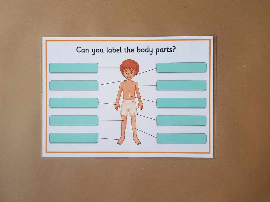 My body male body parts worksheets KS1 KS2 science Etsy