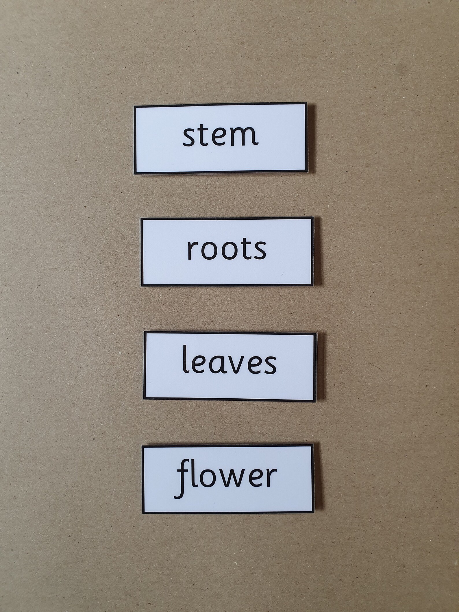 Parts of a Plant Interactive Worksheet EYFS KS1 Nature Etsy Australia