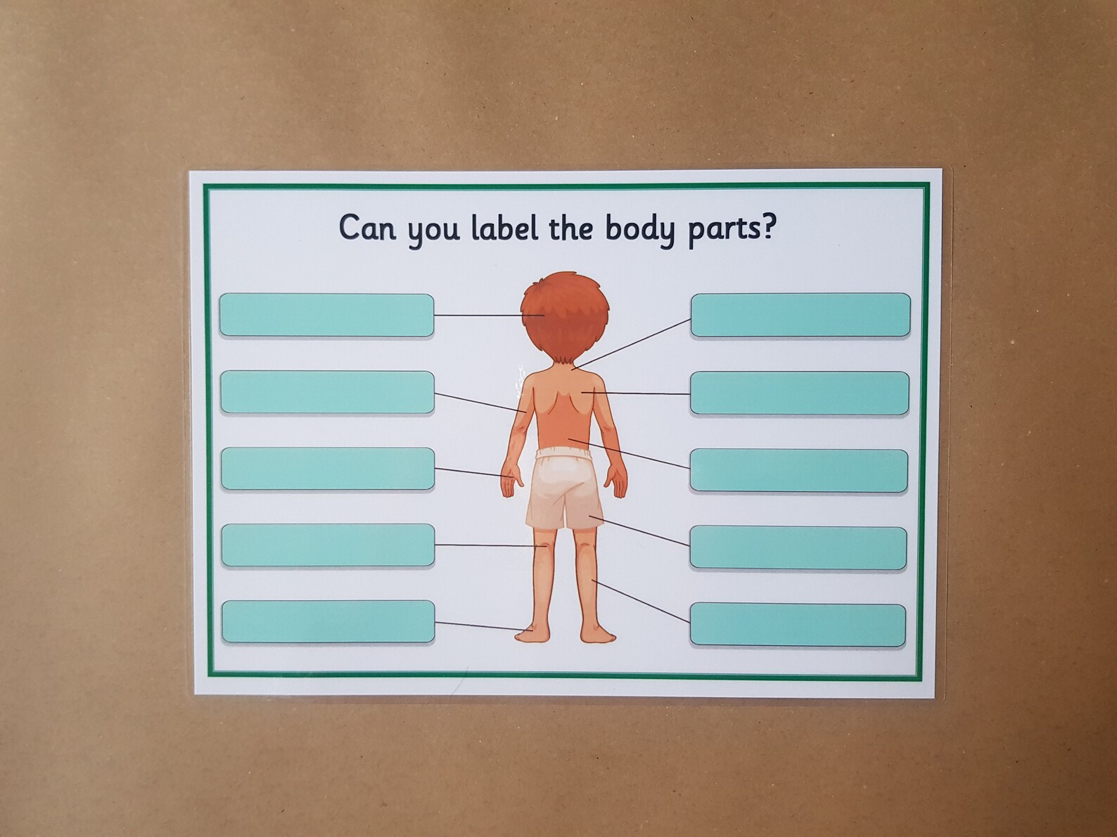 My Body Male Body Parts Worksheets KS1 KS2 Science Etsy