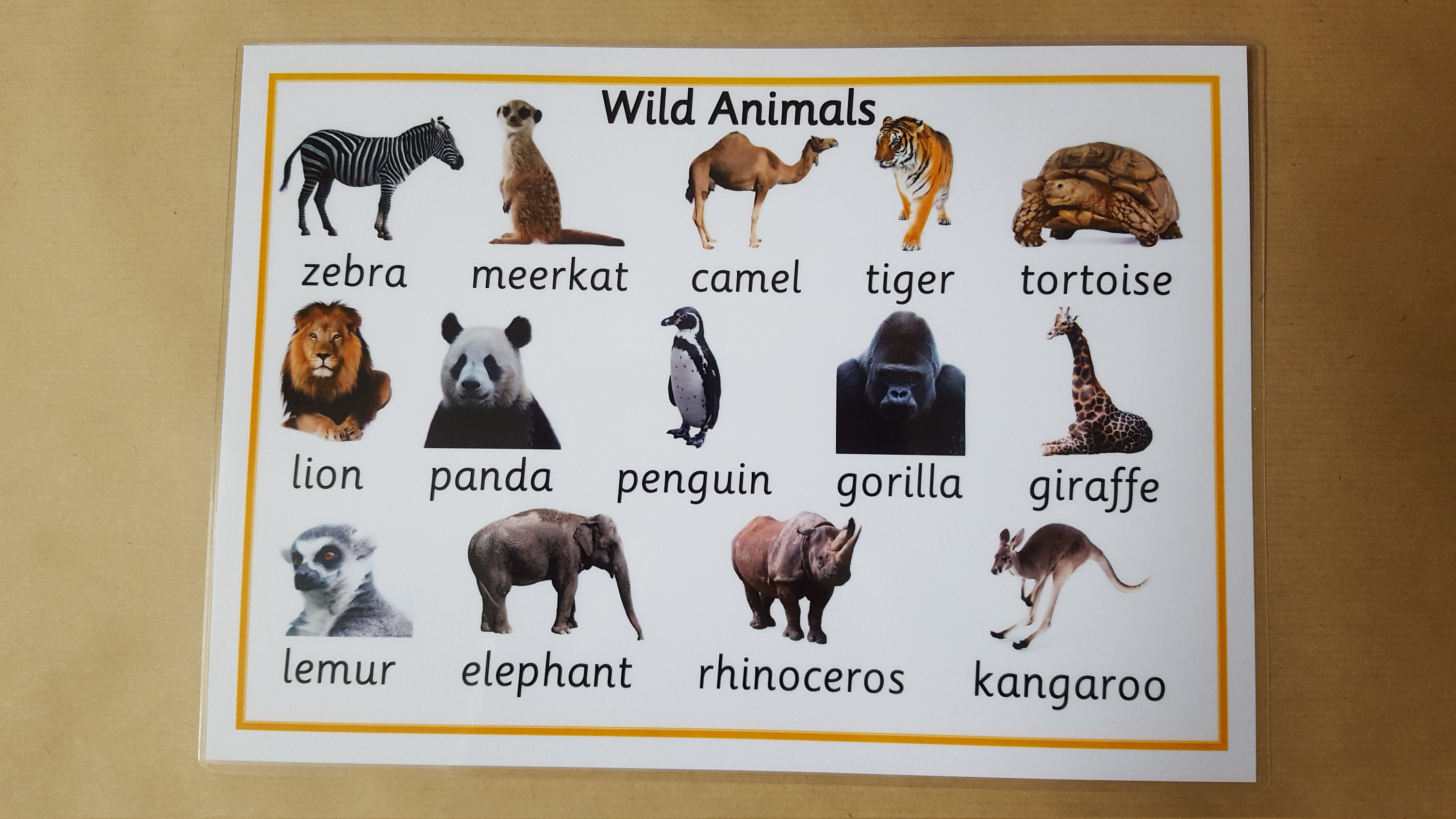 Animals Poster Laminated A4 Poster Wild Animals Early - Etsy Singapore
