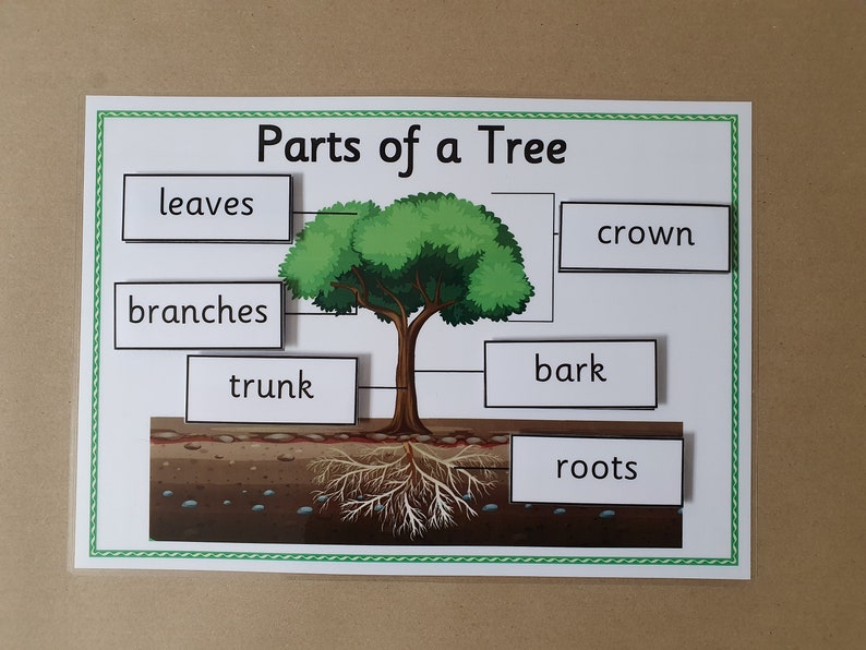 Parts of a Tree Interactive Worksheet EYFS KS1 Nature Etsy