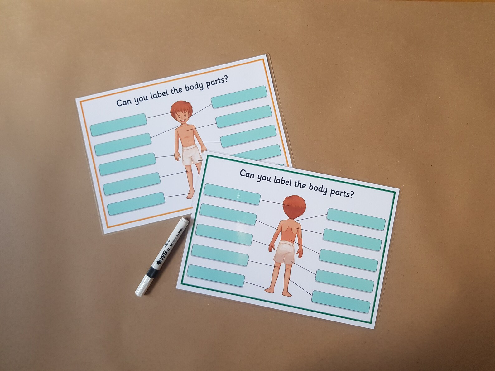 My Body Male Body Parts Worksheets KS1 KS2 Science Etsy