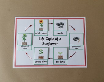 science worksheets etsy uk