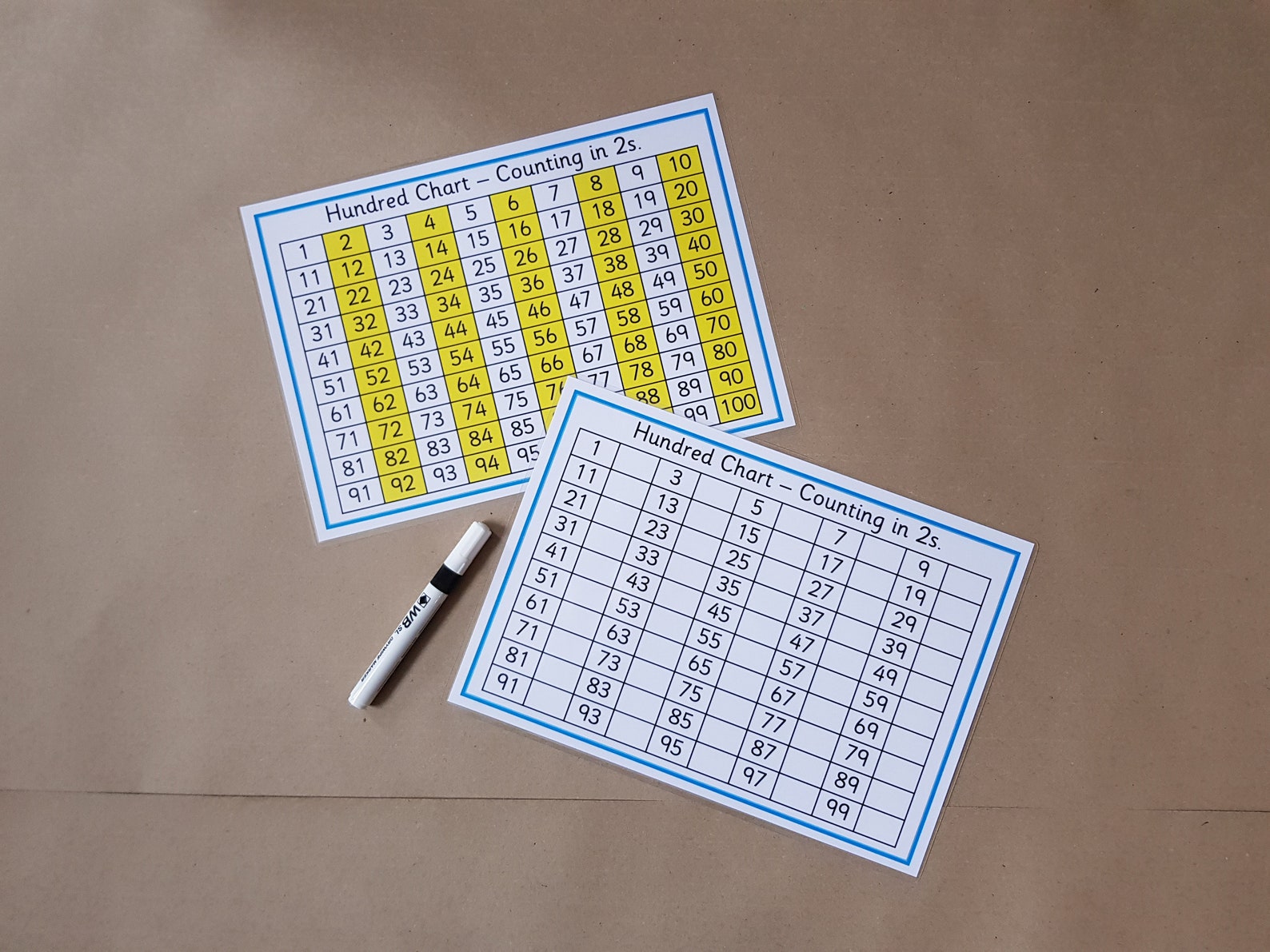 Counting in 2s 5s 10s Times Tables Hundred Grid Etsy Hong Kong