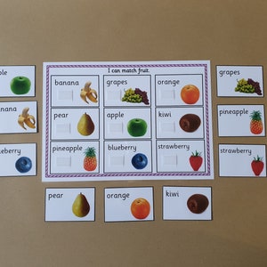 May include: Fruit matching game with cards showing illustrations of apples, bananas, grapes, oranges, pears, pineapples, blueberries, kiwis, and strawberries. The game includes a matching board with the text "I can match fruit."