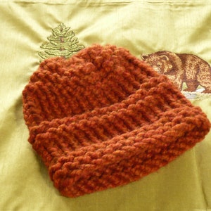 May include: A hand-knitted, rust-colored beanie hat. The hat is made with a thick yarn, creating a textured, ribbed pattern. The hat is resting on a light green surface with an embroidered bear and Christmas tree.