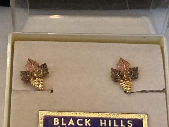 Landstroms black hills gold earrings deals