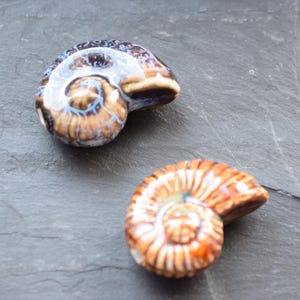 Könnte beinhalten: Zwei Ammoniten-Schalen aus Keramik. Eine ist braun mit weißen und blauen Wirbeln, die andere ist orange mit weißen Wirbeln.