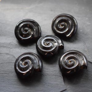 Könnte beinhalten: Fünf dunkelbraune, polierte, spiralförmige Dekorationssteine. Jeder Stein hat eine glatte, glänzende Oberfläche mit einem markanten Spiraldesign. Die Steine sind auf einer dunkelgrauen Oberfläche angeordnet, was einen Kontrast erzeugt.