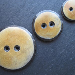 Hornknopf 23mm 31mm 44mm 3 Einzelstücke braun