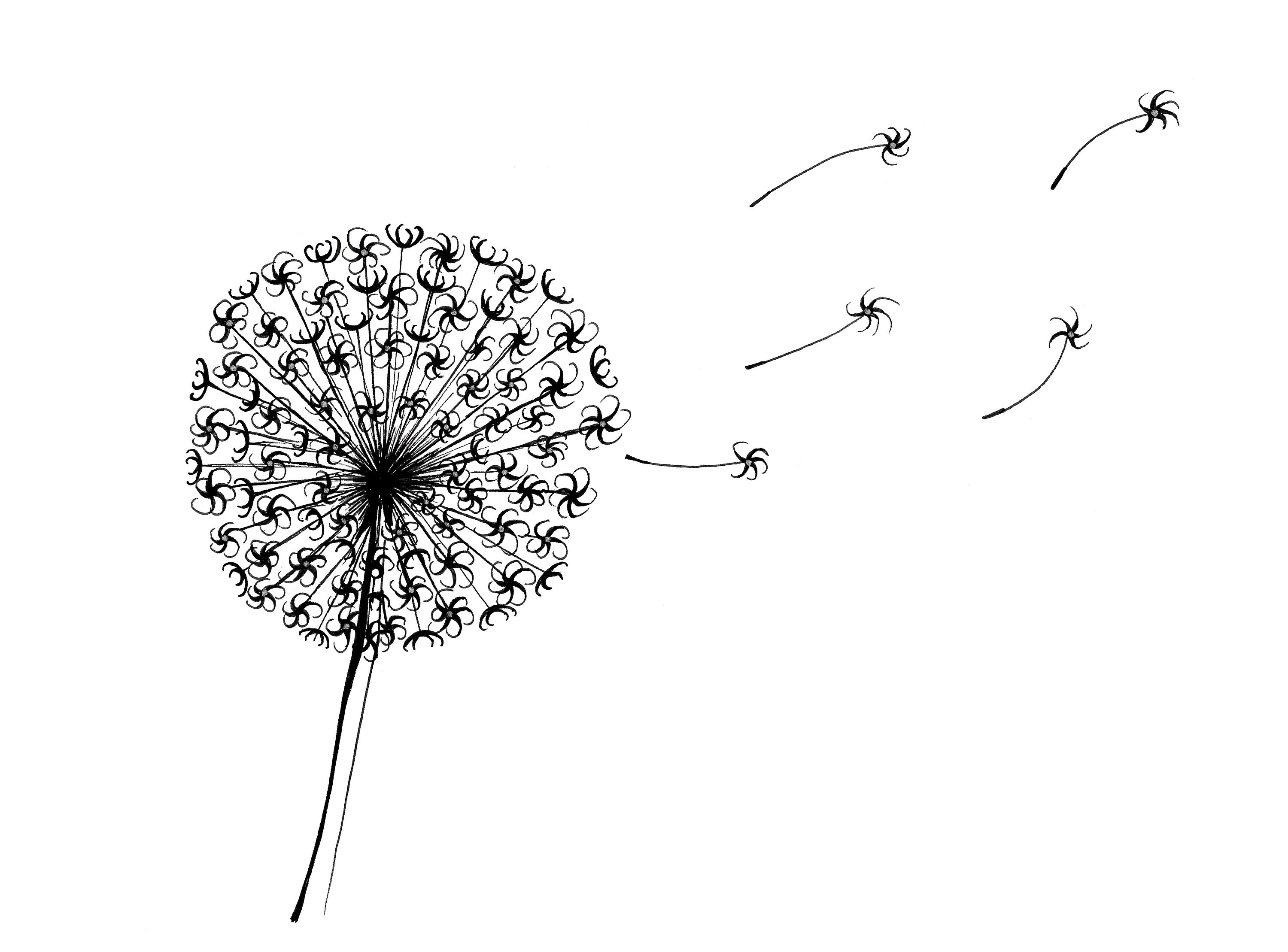 Dandelion Clock Card A Pretty, Hopeful Card Which is Great for Saying