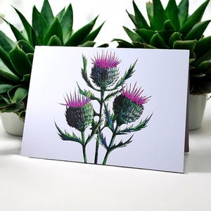 Cartão Thistle - cartão floral aquarelado, marcante e estiloso, para aniversários, agradecimentos ou comemorações. Flor da Escócia.