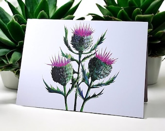 Thistle Card - striking and stylish nature floral watercolour card for birthdays, thank yous or celebrations. Flower of Scotland.