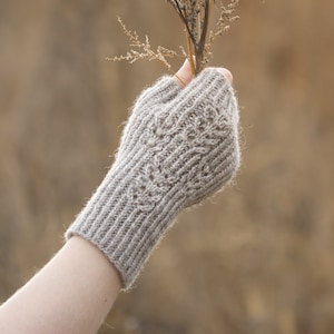 May include: A hand wearing a beige knitted fingerless glove holds a bouquet of dried grasses and seed pods.