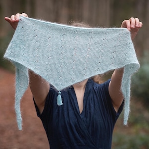 May include: A light blue knitted shawl with a delicate lace pattern and a small tassel. The shawl is held up in front of a person's face.