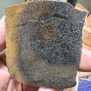 May include: A piece of fossilized bone with a textured surface. The bone fragment displays a pattern of small, interconnected cells, with colors ranging from dark gray to tan. The edges of the bone are rough and uneven.