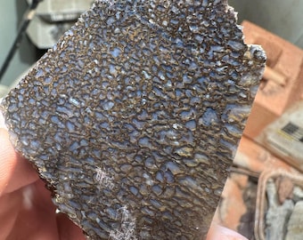 Hueso de gema de dinosaurio en bruto (fragmento) – Estructura celular fosilizada multicolor / Ejemplar lapidario de 108 g