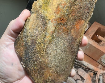 Losa rugosa de hueso de gema de dinosaurio: estructura celular fosilizada multicolor / Ejemplar lapidario de 277 g