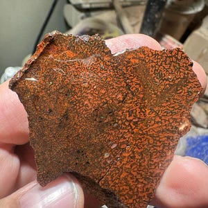 Puede incluir: Un fragmento de piedra pulida con un llamativo patrón de color naranja y marrón oscuro. La superficie de la piedra está cubierta por una red de pequeñas formas irregulares, creando una apariencia texturizada. Los bordes de la piedra son ásperos y desiguales.