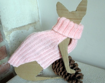 Pull rose pour chaton sphynx