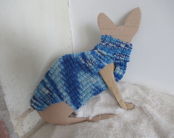 Pull bleu pour jeune chat sphynx