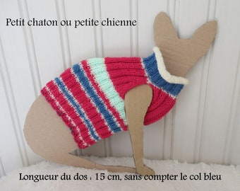 Pull coloré pour chaton ou chienne de petite taille