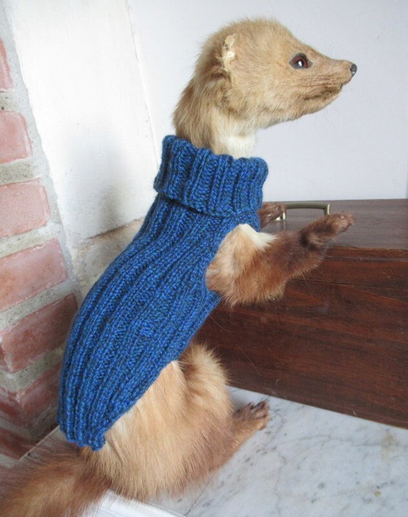 Sweater for a ferret image 1