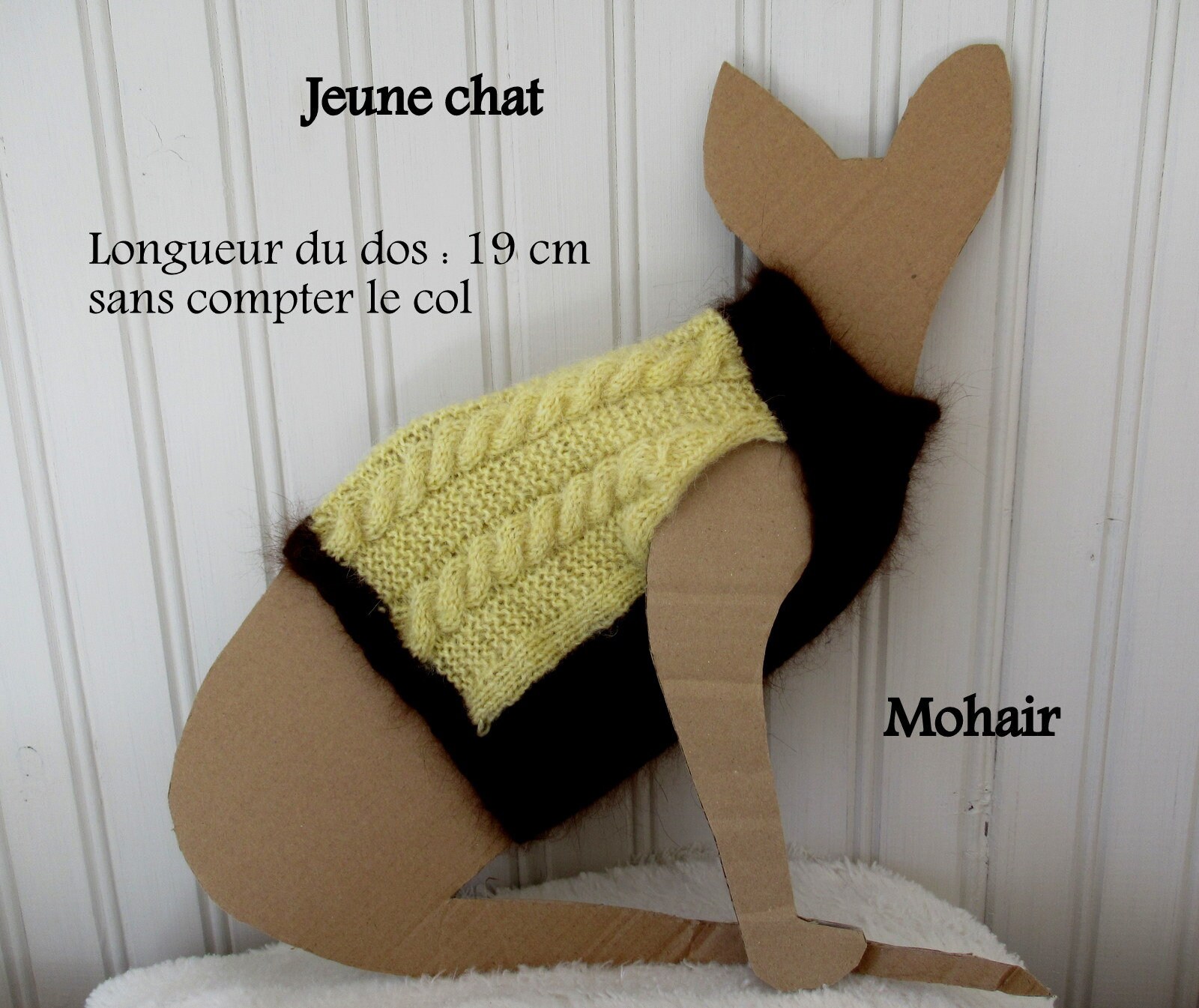 Chandail Douceur Pour Jeune Chat ou Petite Chienne