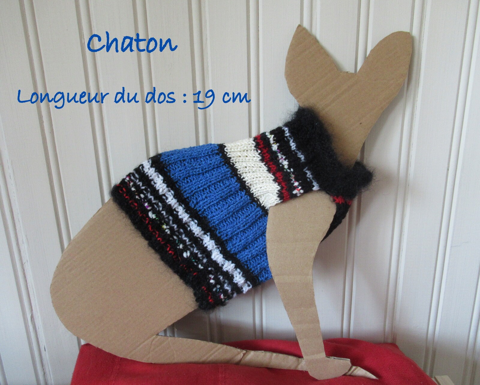 Pull Pour Chaton ou Chienne de Petite Taille