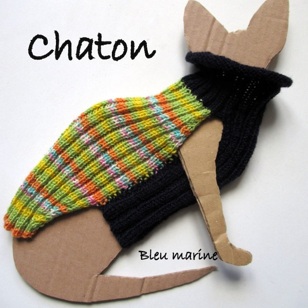 Manteau coloré pour jeune chat sphynx