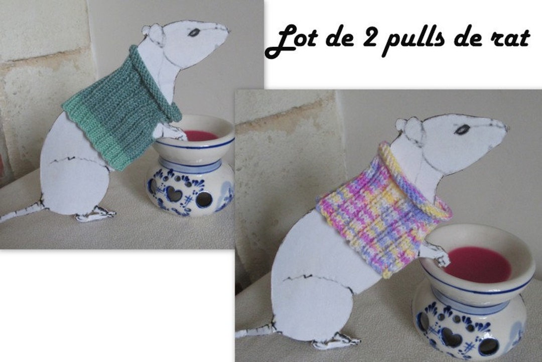 Clothes For Rats Tutorial Clothes for Rat. 2 Sweaters - Etsy