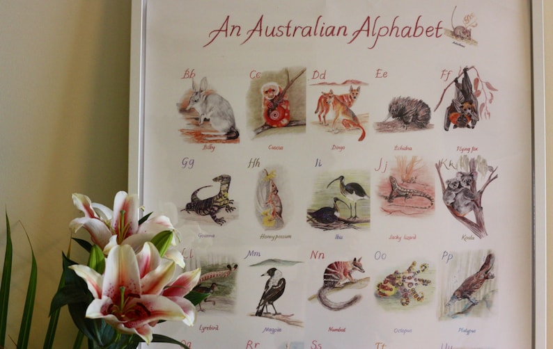 An Australian Alphabet A1 Poster Etsy Australia