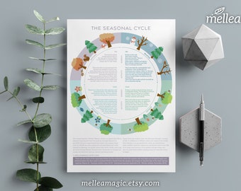 Menstrual Cycle Tracker ∼ 6 pages ∼ Period, Moon Chart ∼ Letter, A4 ∼ Printable ∼ DIGITAL DOWNLOAD