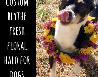 Custom BLYTHE Fresh Floral Halo DOG collar // dog floral wreath, dog flower crown, puppy flower crown, dog flower crown, dog accessories