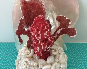 Sea sponge, soft coral, statue, coastal, seashells, boho