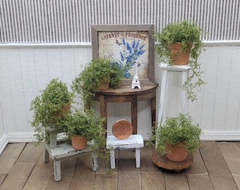 May include: A miniature display featuring five potted green plants in terracotta-colored pots, a wooden table, a white stool, a small white bench, a framed Lavande de Provence sign, a miniature Eiffel Tower, and a copper penny for scale.