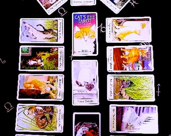 May include: A tarot card spread with a cat theme. The cards are laid out in a Celtic cross pattern. The cards show images of cats in various poses and settings. The cards are from the Cat's Eye Tarot deck.