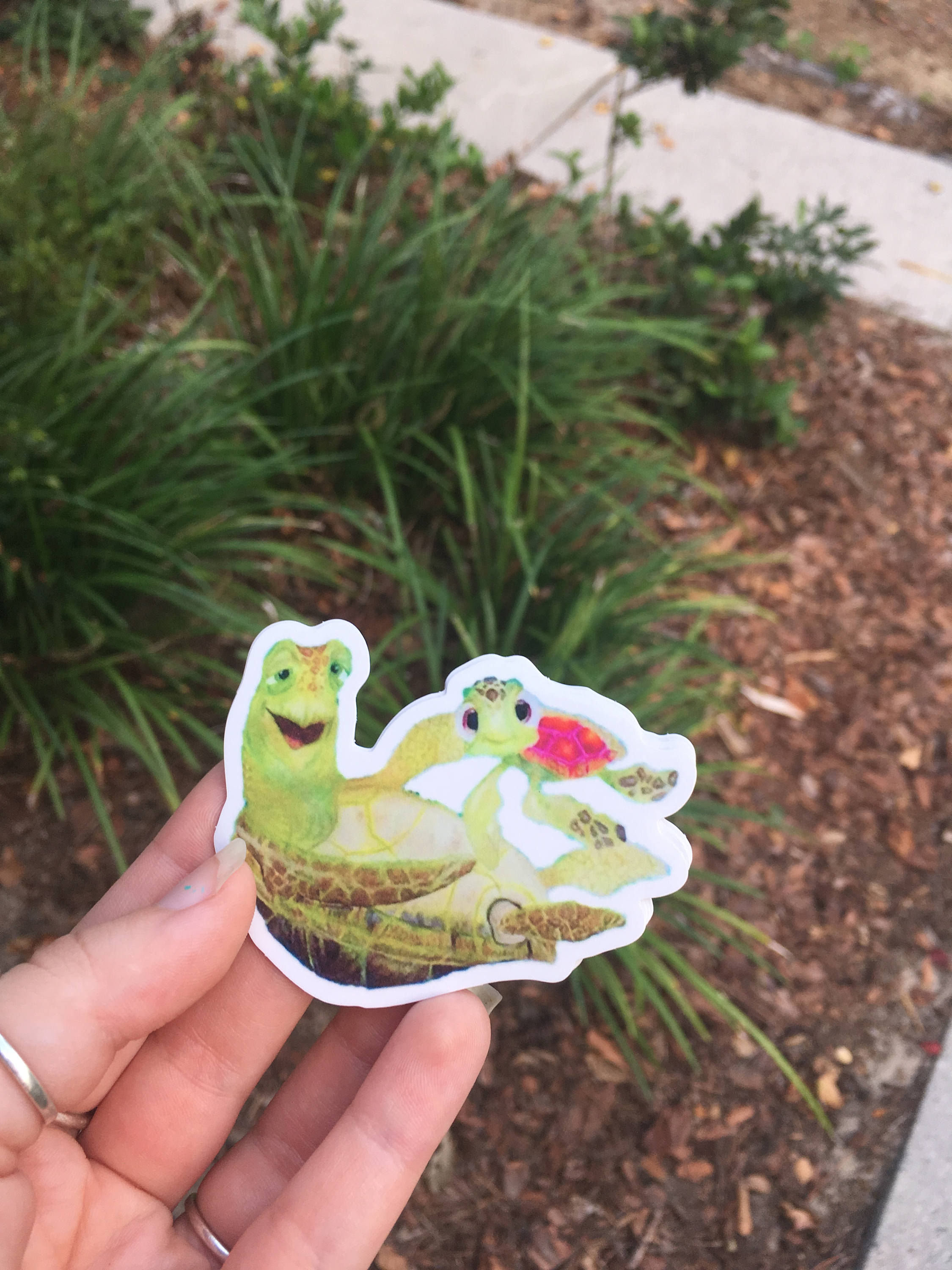 Crush Squirt Sticker Finding Nemo Etsy