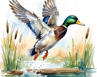 Watercolor Mallard Duck Clipart Set, Nursery Art (Digital Download, 4096x4096 px Jpeg Files)
