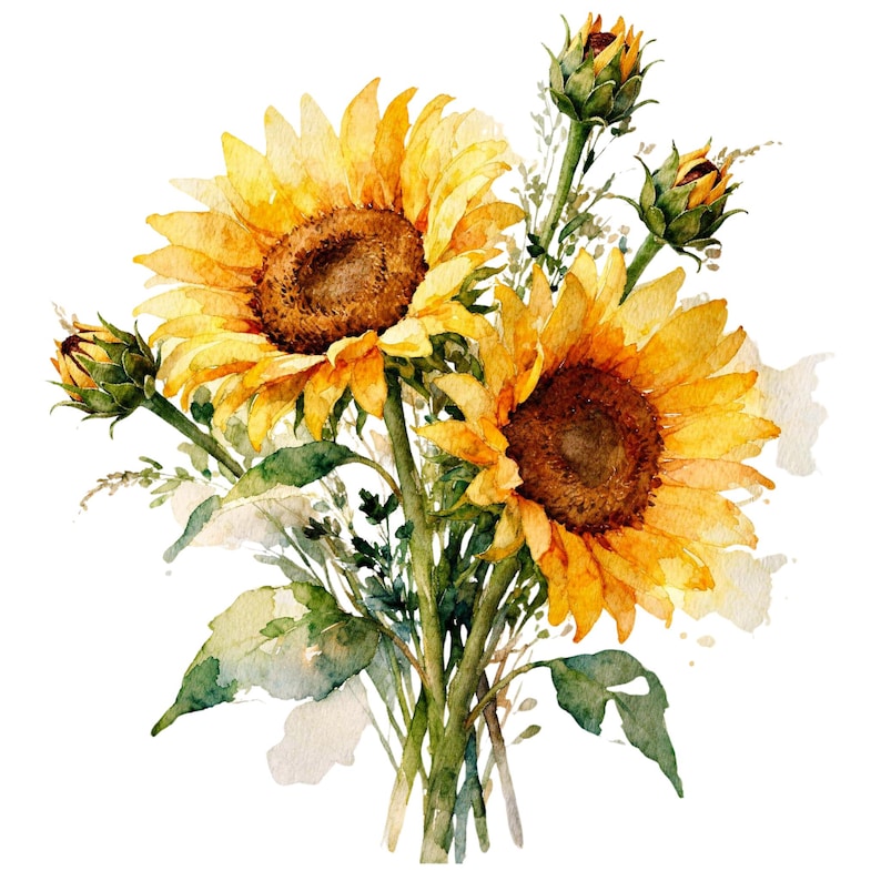 9 Sunflower Clipart PNG Bundle, Watercolor Floral Bouquet, Rustic ...