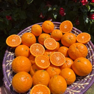May include: A wicker basket filled with bright orange oranges. Some of the oranges are cut in half, revealing the juicy flesh inside.