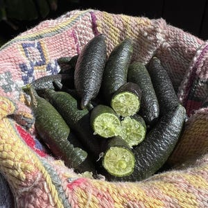 Organic California Finger Limes - Rare Fruit - In season