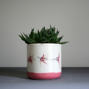 Daisy planter pot - Indoor flower pot - Cactus succulent pot
